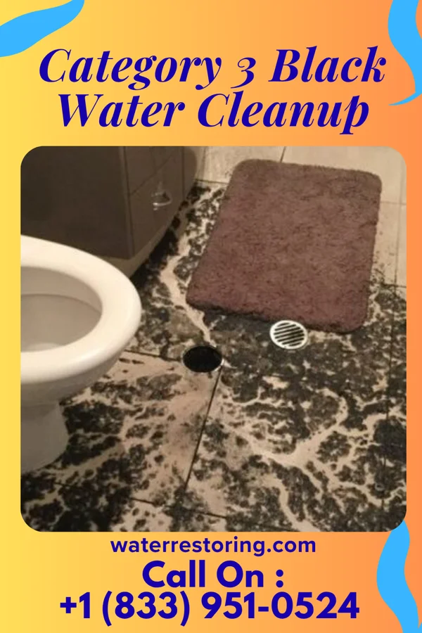 Category 3 Black Water Cleanup in Briarwood Estates, MO
