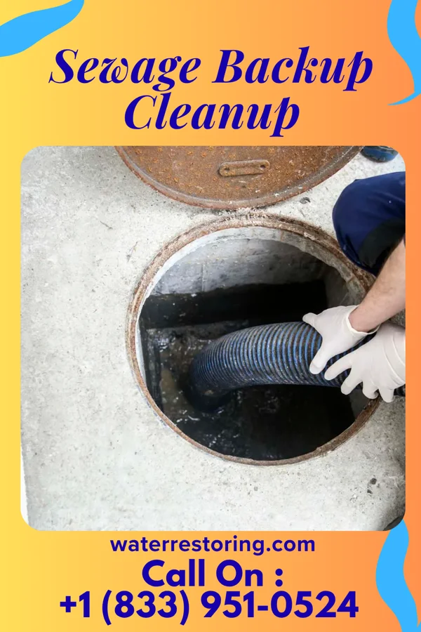Sewage Backup Cleanup in Briarwood Estates, MO